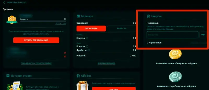 ΠΏΡΠΎΠΌΠΎΠΊΠΎΠ΄Ρ ΠΊΠ°Π·ΠΈΠ½ΠΎ ΠΏΠΈΠ½ΠΊΠΎ
